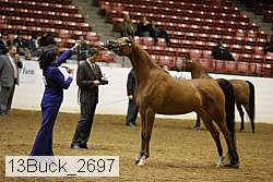 13buck_2697 proof