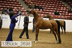 13buck_2698 proof