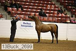 13buck_2699 proof
