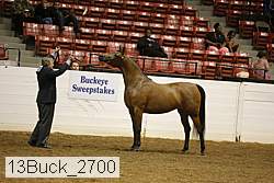13buck_2700 proof