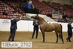 13buck_2702 proof