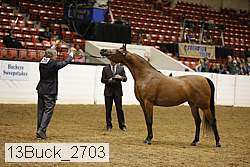 13buck_2703 proof