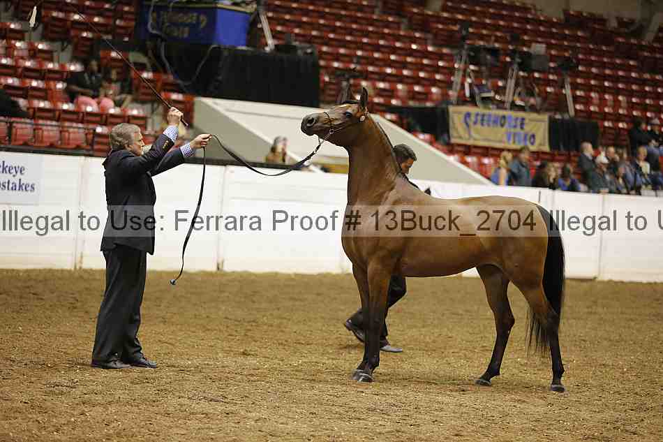 Proof 13buck_2704