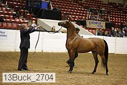 13buck_2704 proof