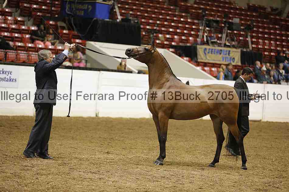 Proof 13buck_2705