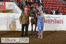 13buck_2706 proof