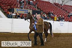 13buck_2708 proof