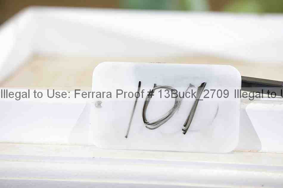 Proof 13buck_2709