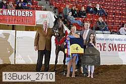 13buck_2710 proof