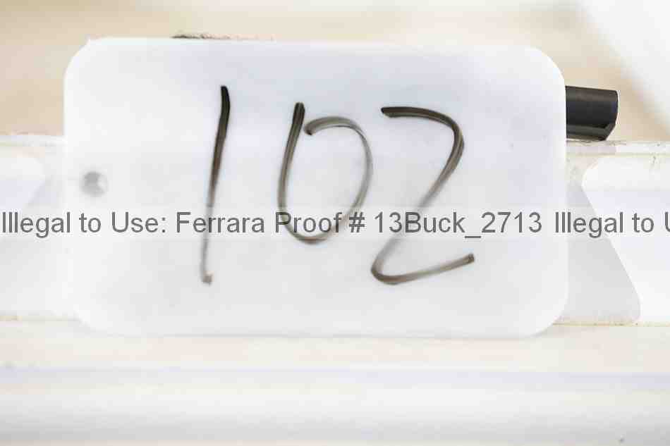 Proof 13buck_2713