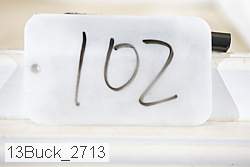 13buck_2713 proof