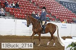 13buck_2714 proof