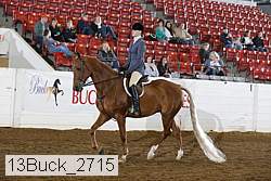 13buck_2715 proof