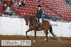13buck_2716 proof