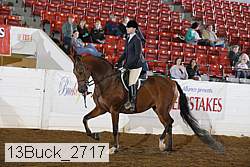 13buck_2717 proof