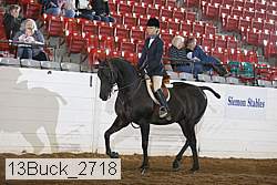 13buck_2718 proof