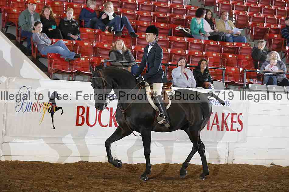 Proof 13buck_2719