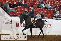 13buck_2719 proof