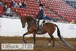 13buck_2720 proof