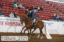13buck_2721 proof