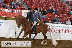 13buck_2722 proof
