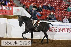 13buck_2723 proof