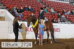 13buck_2724 proof