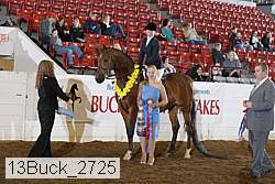 13buck_2725 proof
