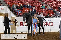 13buck_2727 proof