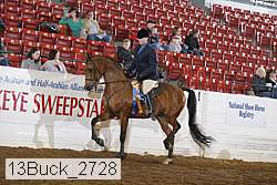 13buck_2728 proof