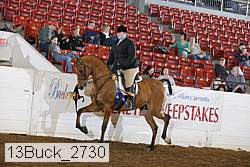 13buck_2730 proof