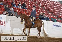13buck_2733 proof