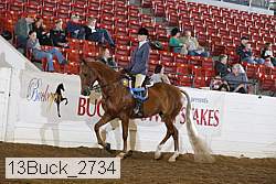 13buck_2734 proof