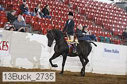 13buck_2735 proof