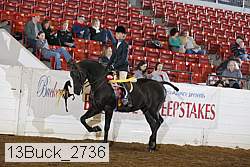 13buck_2736 proof