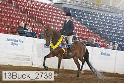 13buck_2738 proof