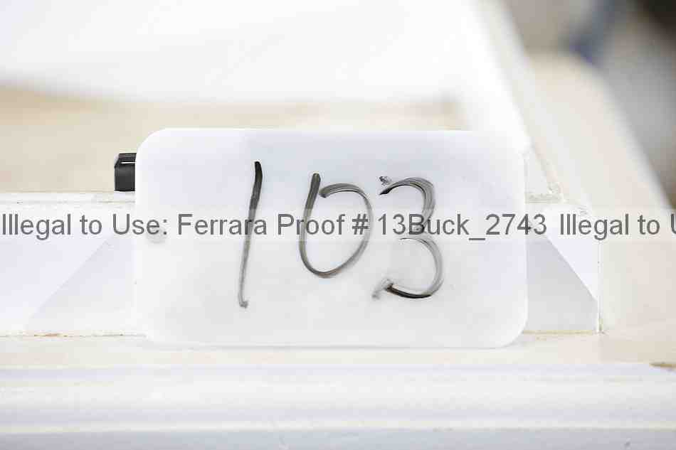 Proof 13buck_2743