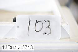 13buck_2743 proof