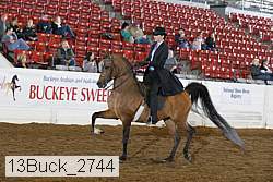 13buck_2744 proof