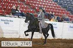 13buck_2745 proof