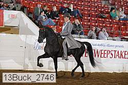 13buck_2746 proof