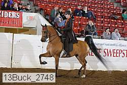 13buck_2748 proof