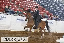 13buck_2750 proof