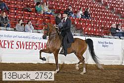 13buck_2752 proof
