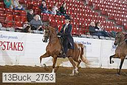 13buck_2753 proof