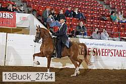 13buck_2754 proof