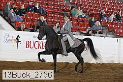 13buck_2756 proof