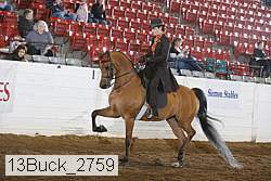 13buck_2759 proof