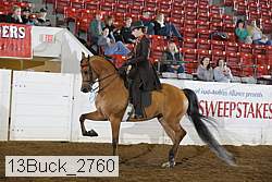 13buck_2760 proof