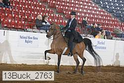 13buck_2763 proof